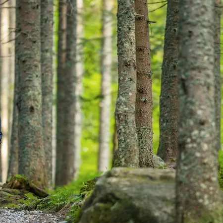 아파트호텔 Nube D'argento 3*