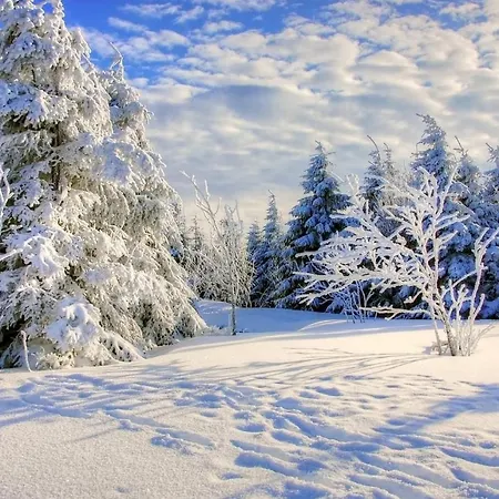 Nube D'argento 세스트리에