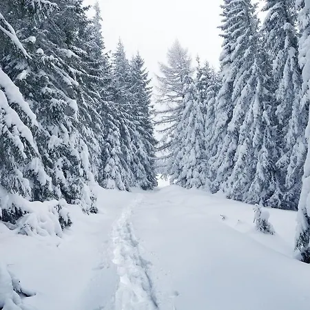 Nube D'argento 아파트호텔 세스트리에