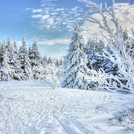 Nube D'argento 3* 세스트리에